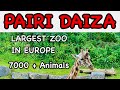 Visit Pairi Daiza, Belgium - Largest Zoo in Europe : Walking Tour 4K - Part 1