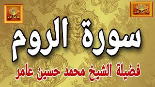 سورة الروم ... فضيلة الشيخ محمد حسين عامر  #صدقة_جارية