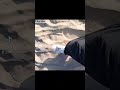 فقد الأحبة قاتل ڤتواجرافر تيسير هشام 