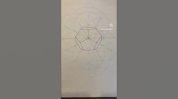 How to Draw the Dodecahedron and Icosahedron
