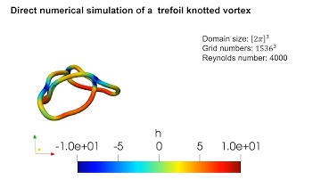 Direct numerical simulation of a trefoil knotted vortex