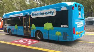 Buses at Macquarie (busy) vlog#23