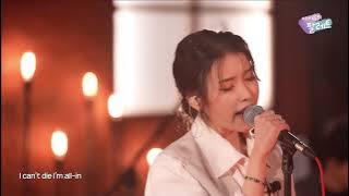 IU Coin Band version Live 아이유 코인 밴드 버전 라이브
