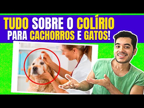 Vídeo: Quais tipos de tecnologia os veterinários usam?