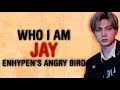 [ WHO I AM ] ♔ ENHYPEN JAY - ENGENE&#39;S FAVORITE ANGRY BIRD | USE HEADPHONE FOR BEST EXPERIENCE