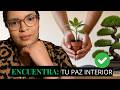 Paz Financiera: 10 Leyes Frugales que silenciaron mi estrés 🌱☺️