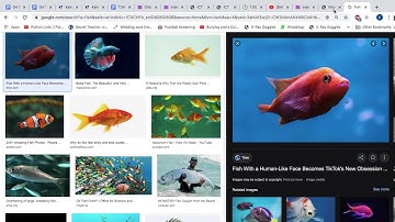 Glitch tutorial 2- adding an image and a video, and changing the size