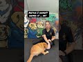 Rollover ✅ learning how to teach this to your dog is f #DogTraining #puppylove #dogtricks