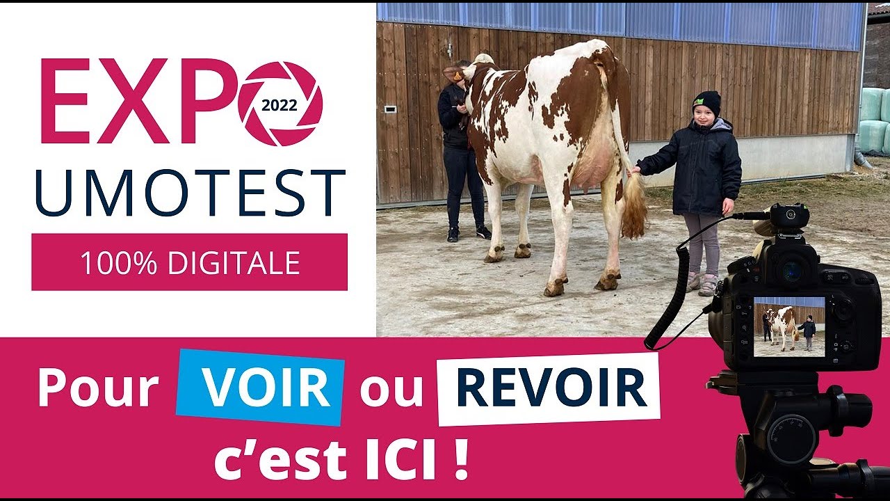 Expo Umotest 2022 - voir et revoir l'Expo Umotest 2022.