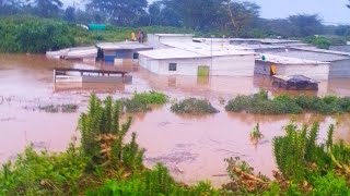 Naivasha's KCC Slum Residents Plead for Relief as Malewa River Floods Devastate Homes