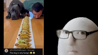 Celebrity Stupid people believing ai videos 😢. MochiVID #7 Profile