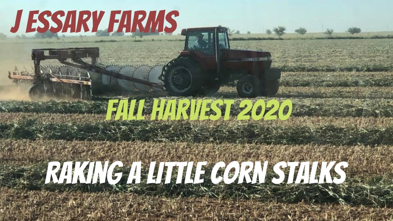 Raking a little Corn Stalks - YouTube