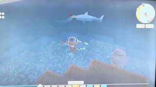 Dinkum Aussie life cozy game: shark 🦈 vs croc 🐊  screenshot 5