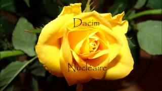 Video thumbnail of "Dacim - Nucléaire"