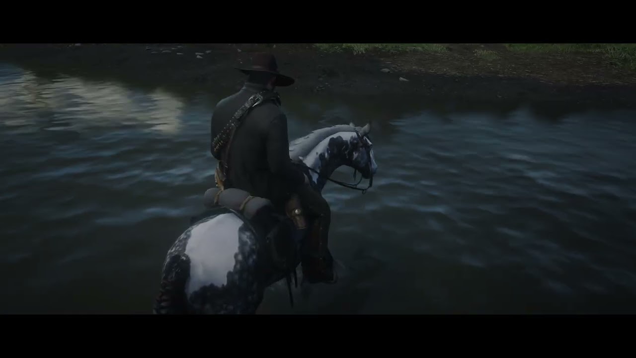 Red Dead Redemption 2 211