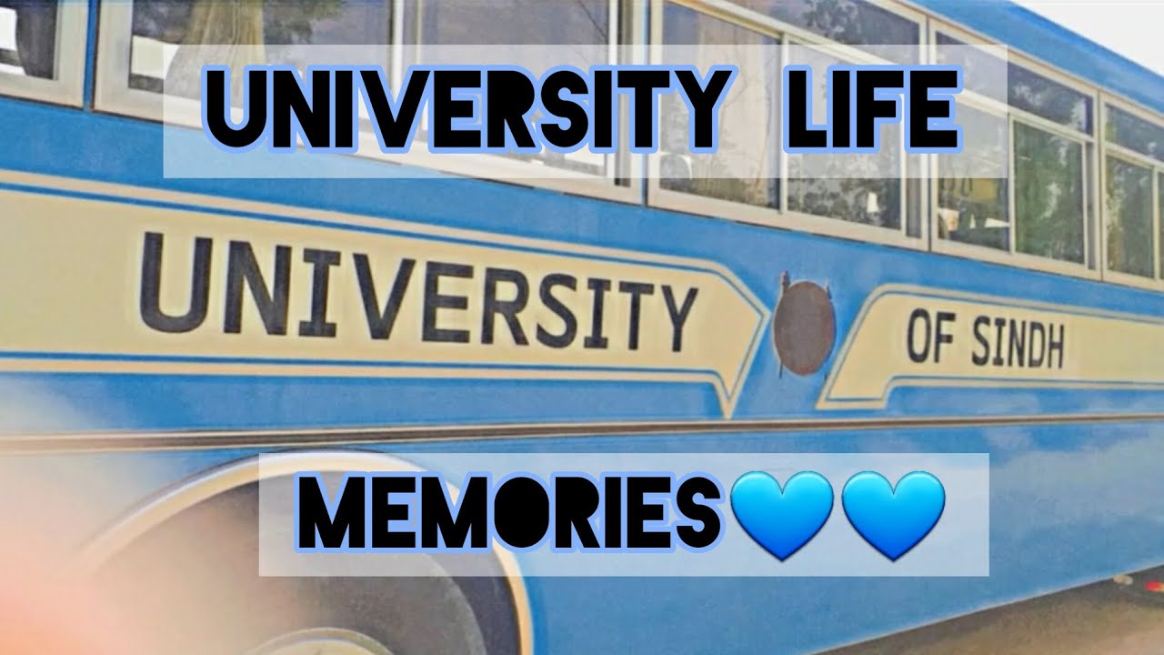 Where journey begins to be a Nutritionist University of sindh