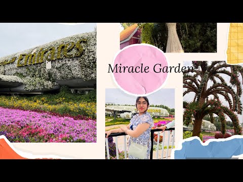 DUBAI VLOG| MIRACLE GARDEN 🇦🇪