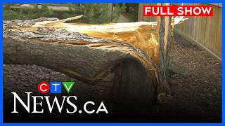 Storms cause more flooding, damage in Edmonton | CTV Your Morning Edmonton for July 13, 2026 screenshot 1