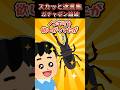 【スカッと】優しいオタクのガチャガチャ物語