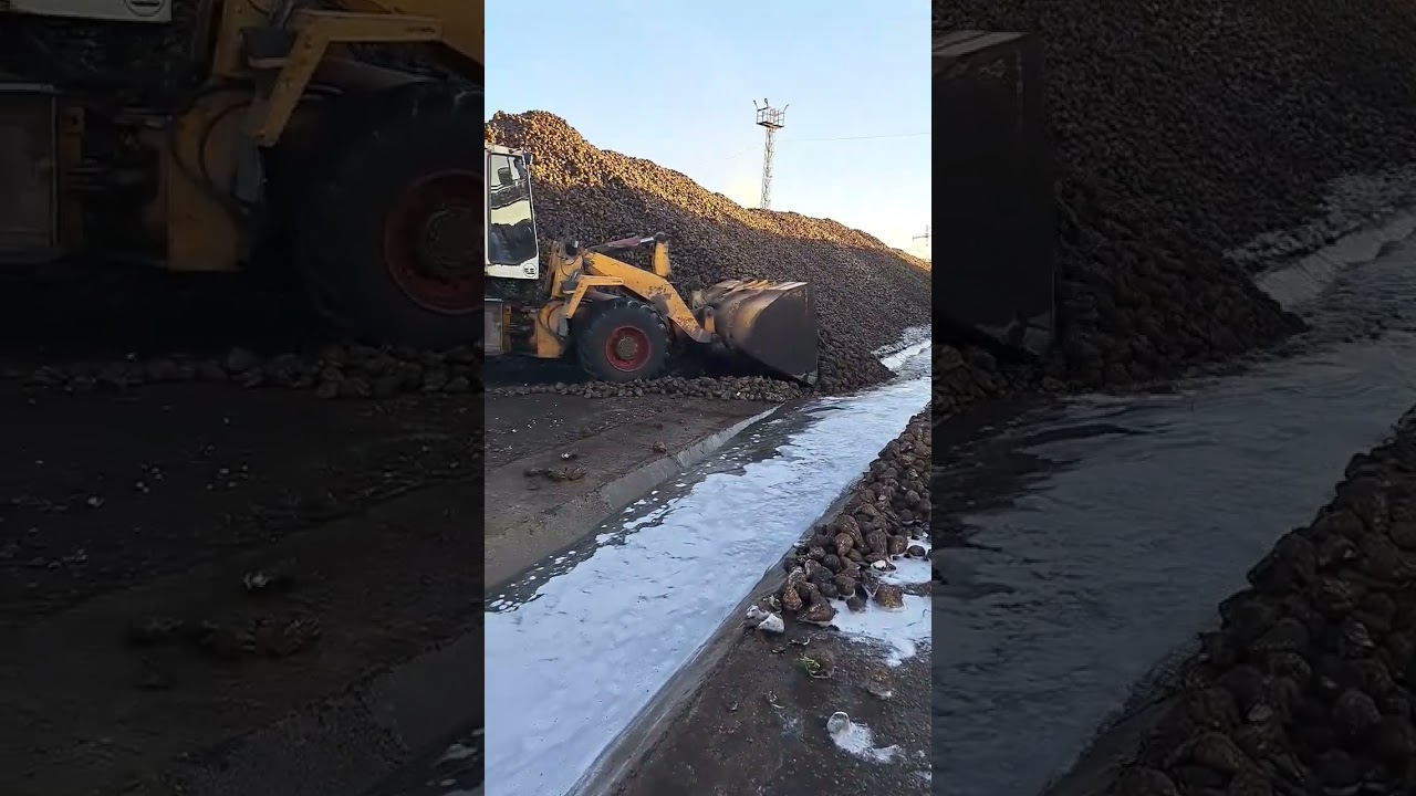 Сахарный завод. Буинск.РТ.