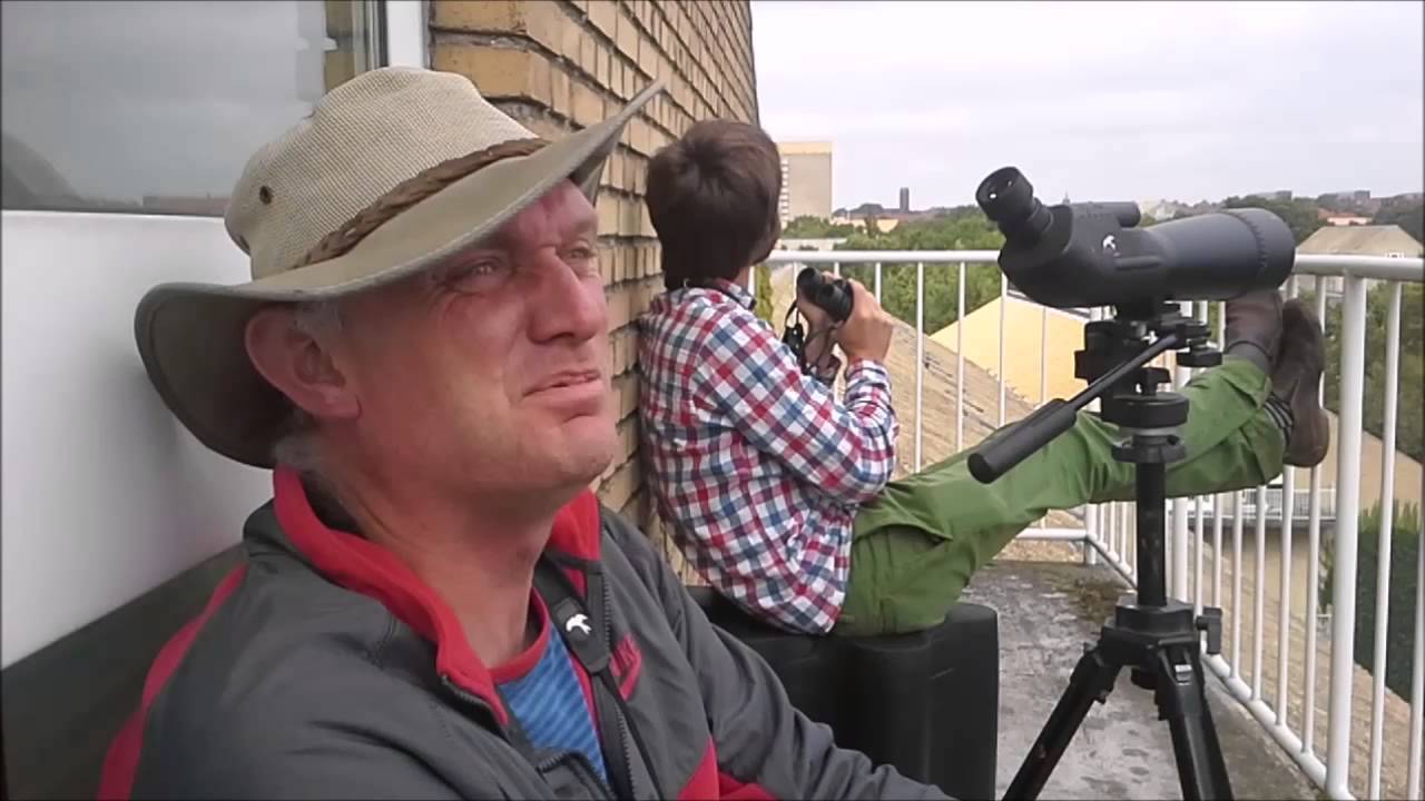 DDRderude - fugletræk på 6. sal