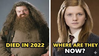 “27 Harry Potter Actors Who Have Passed Away”