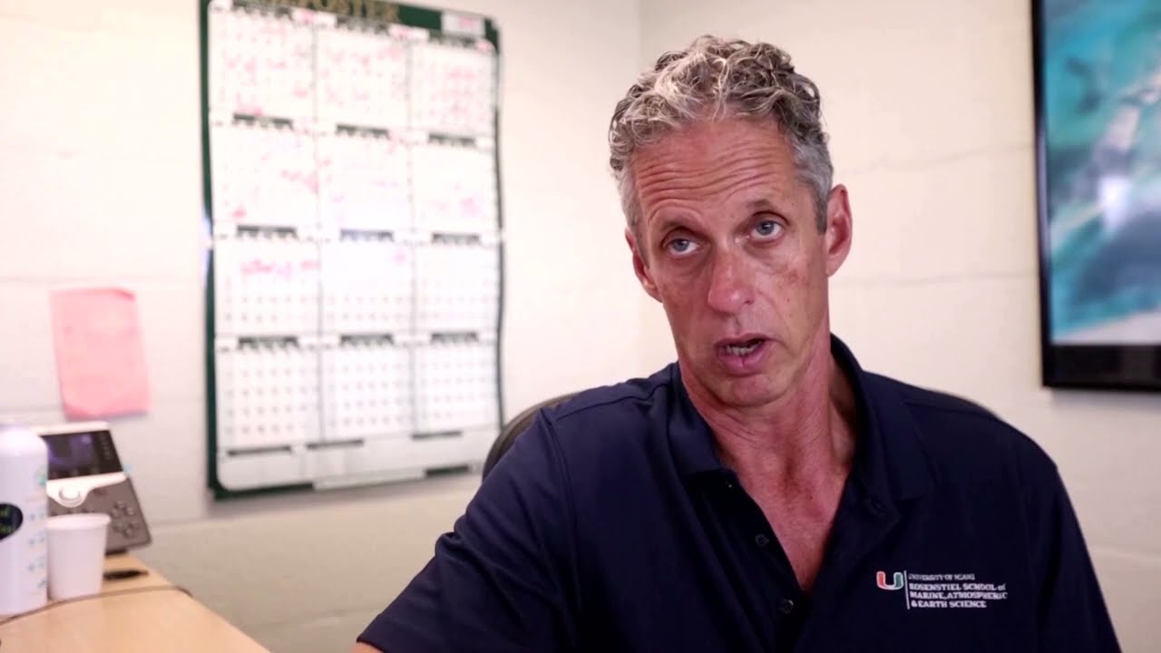 Inside the lab studying how hurricanes impact the coast | REUTERS