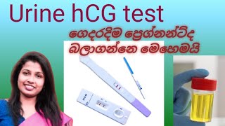 ප්‍රෙග්නන්ට්ද ? ගෙදරදිම බලාගමු . How do you perfome a urine hCG test at  home