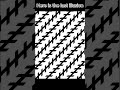 Optical Illusion 2  #illusion #fun #phonk