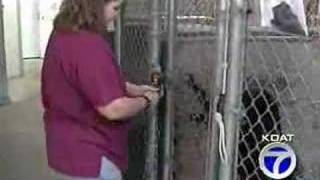 Rio Rancho Animal Control Facility Expanding