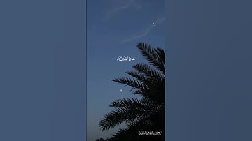 سورة النساء ..#سعود_الشريم
