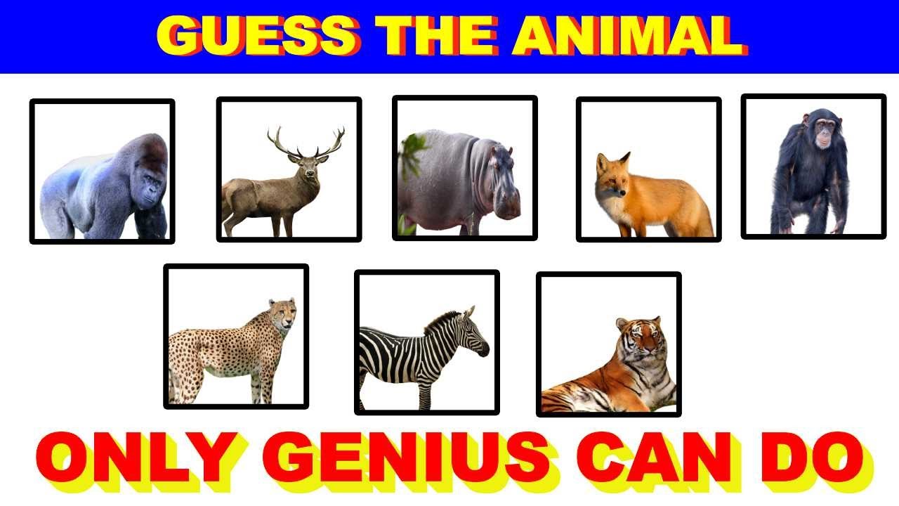 Genius Quiz Animals – Download game for Android