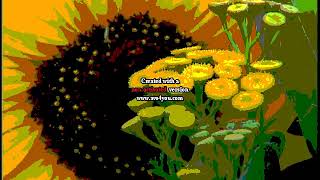 Sample AVS Video Effects