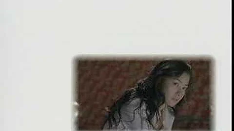 Cecilia Cheung - Experience