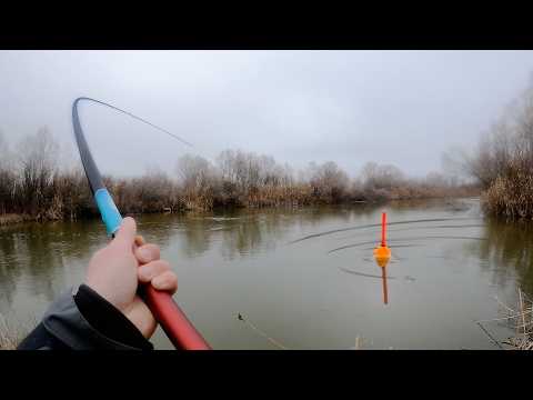 РЫБАЛКА НА ПОПЛАВОК! КАБАНЫ ГНУТ УДОЧКИ! Снасти здрасьте!