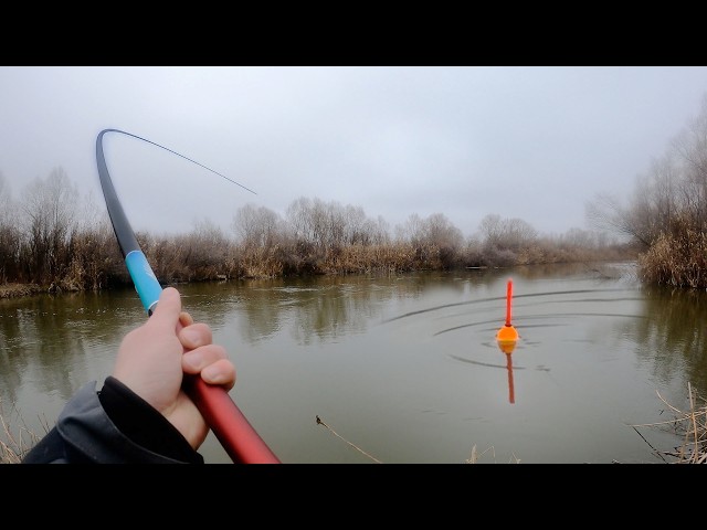 РЫБАЛКА НА ПОПЛАВОК! КАБАНЫ ГНУТ УДОЧКИ! Снасти здрасьте!