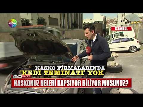 Kaskonuz Neleri Kapsıyor Biliyor Musunuz?