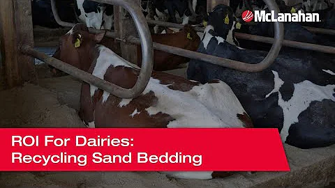 ROI For Dairies - Recycling Sand Bedding