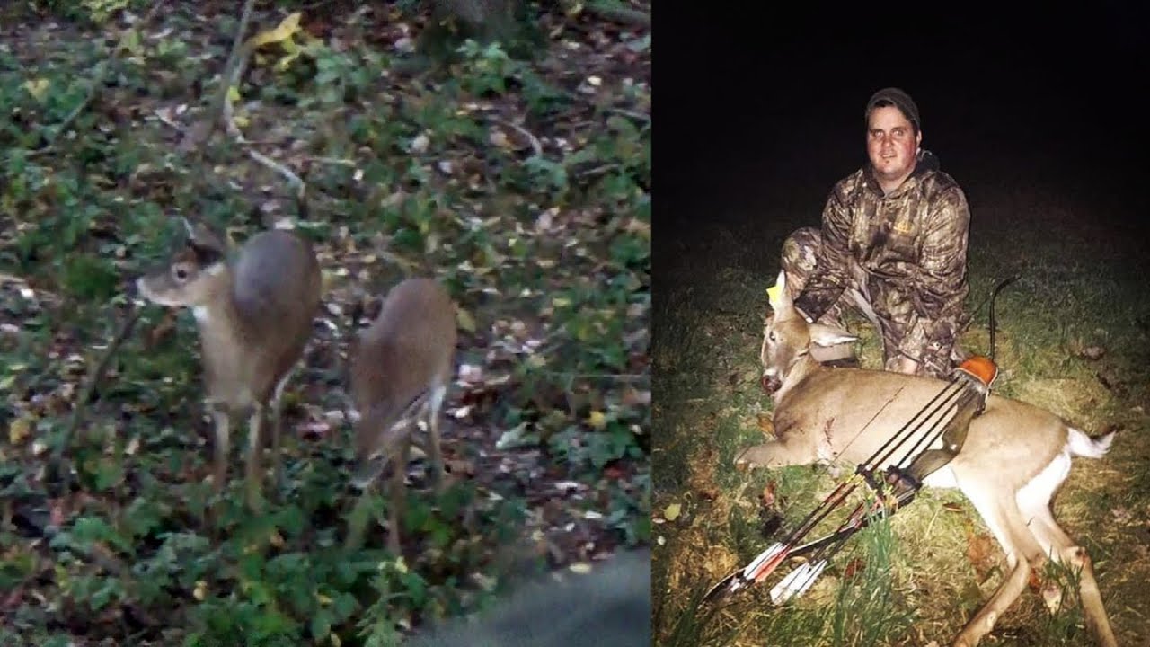 Recurve Bow Hunt 2020 DOWN IN 8 SECONDS! Pennsylvania Archery Deer