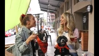 Dog-Friendly Spots | New York Live TV