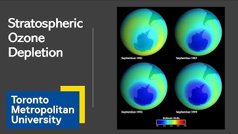 Stratospheric Ozone Depletion: An Environmental Success Story!