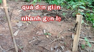 bẫy thòng đơn giản nhanh gọn lẹ