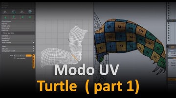 Modo UV: Turtle part 1