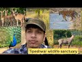 Tipeshwar wildlife sanctuary | Forrest | wild animals, birds | Tiger reserve | Jungle | Yavatmal  |