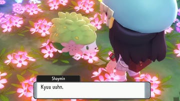 How to Catch Shaymin And Change to Sky Form in Pokemon Brilliant Diamond & Shining Pearl
