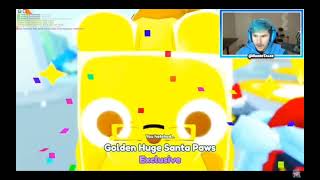 Russo Hatching Golden Huge Santa  Paws First Try Russo Is In Shock!