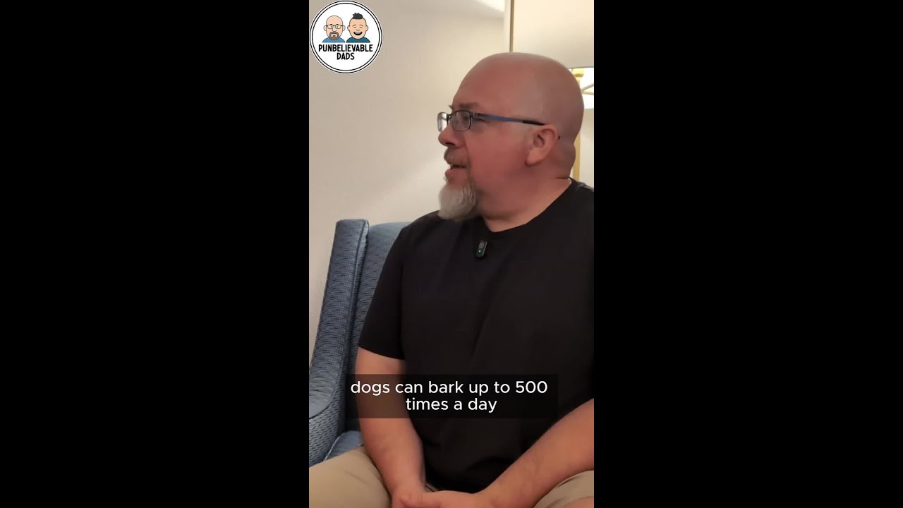 Dad (Bad) Joke short: Bark