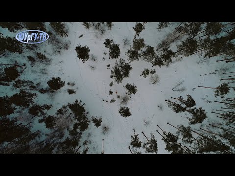 Поисковый отряд «Лиза Алерт»