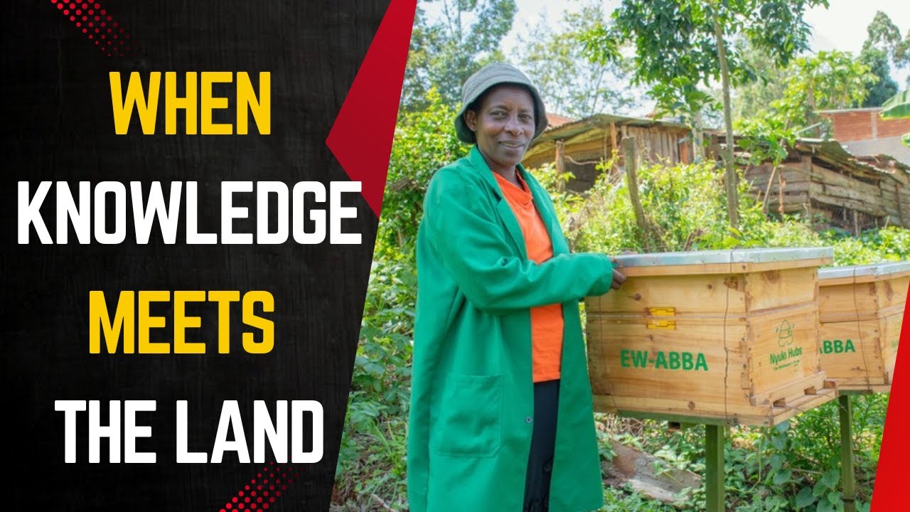 Avocados, Beans & Bees: How Farmers Are Earning Better Through Climate-Smart Farming