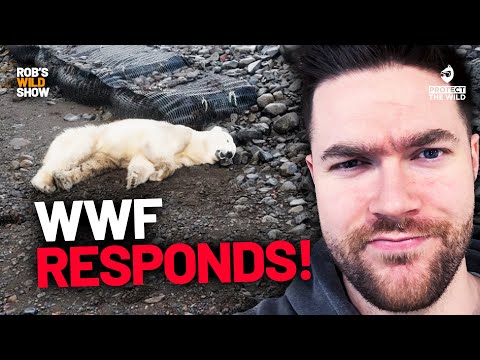 WWF Responds to Backlash—But Their Reply is a JOKE
